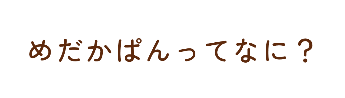 めだかぱんってなに？